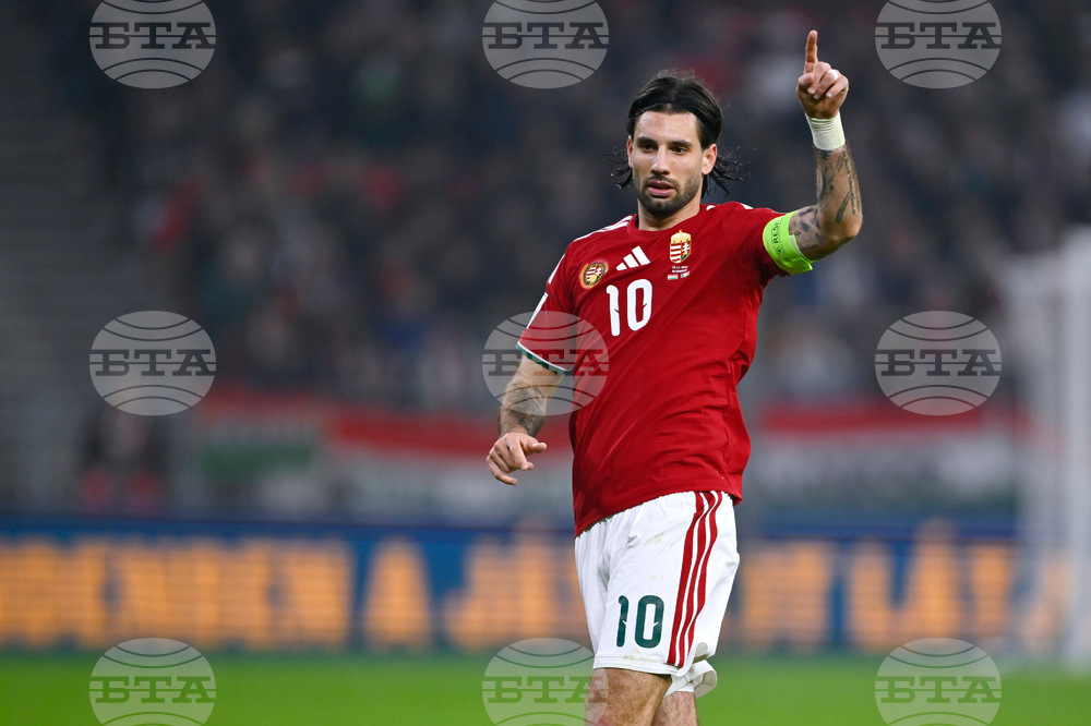 Hungary Ireland WCup Soccer