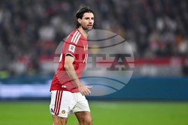 Hungary Ireland WCup Soccer