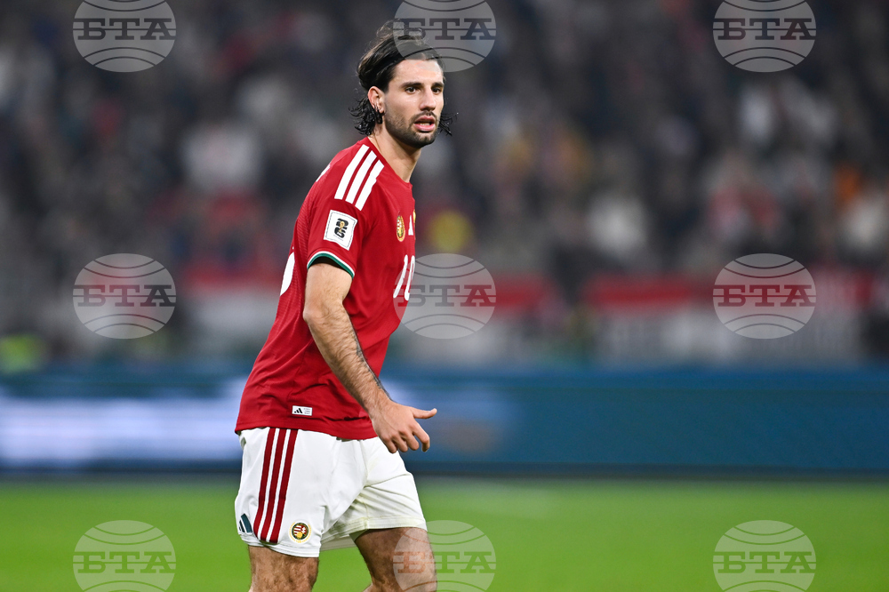 Hungary Ireland WCup Soccer