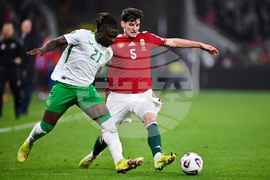 Hungary Ireland WCup Soccer