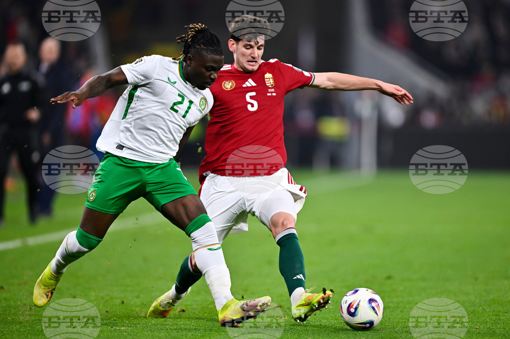 Hungary Ireland WCup Soccer