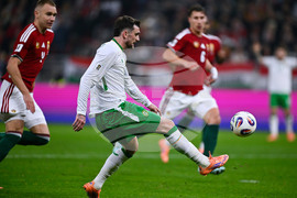 Hungary Ireland WCup Soccer