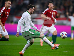 Hungary Ireland WCup Soccer