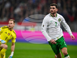 Hungary Ireland WCup Soccer