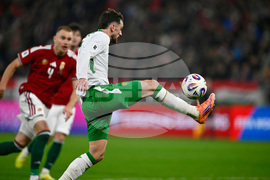 Hungary Ireland WCup Soccer