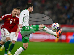 Hungary Ireland WCup Soccer