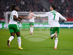 Hungary Ireland WCup Soccer