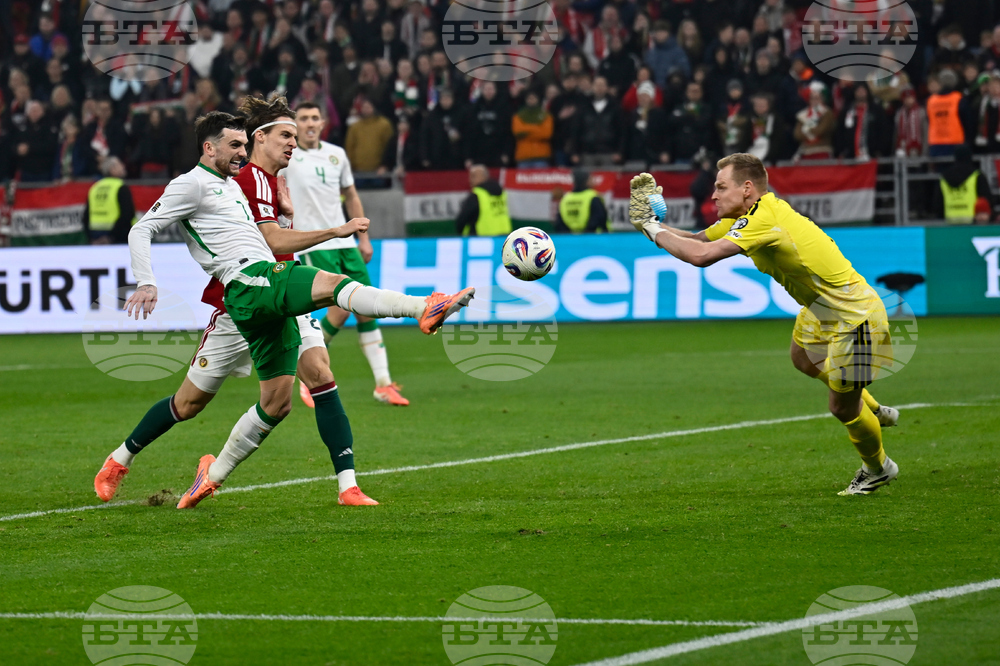 Hungary Ireland WCup Soccer