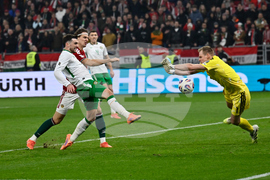 Hungary Ireland WCup Soccer