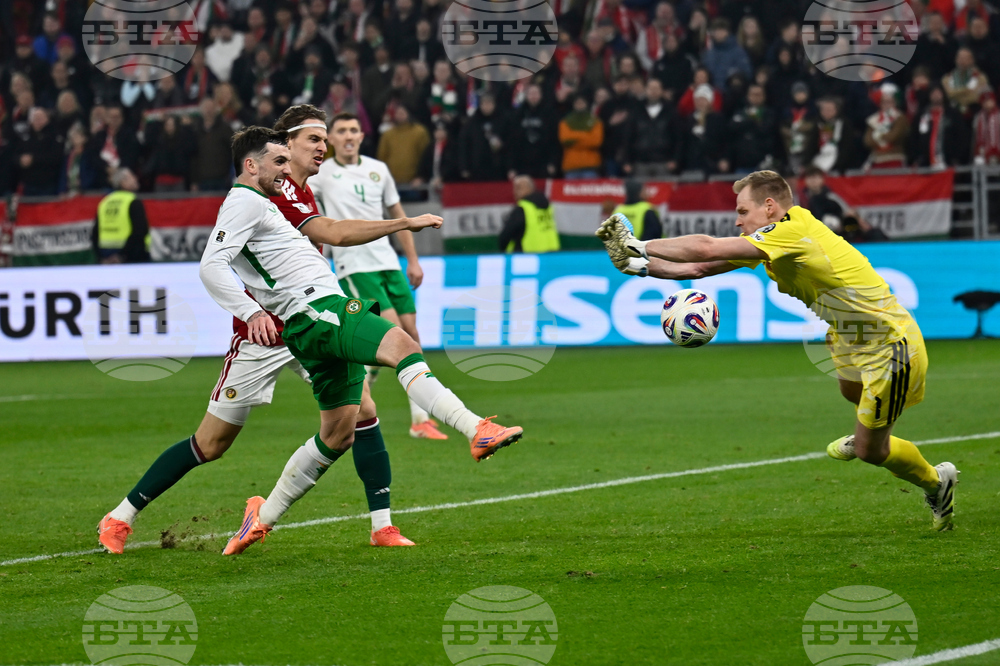 Hungary Ireland WCup Soccer