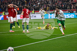 Hungary Ireland WCup Soccer
