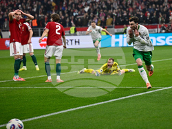 Hungary Ireland WCup Soccer