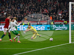 Hungary Ireland WCup Soccer