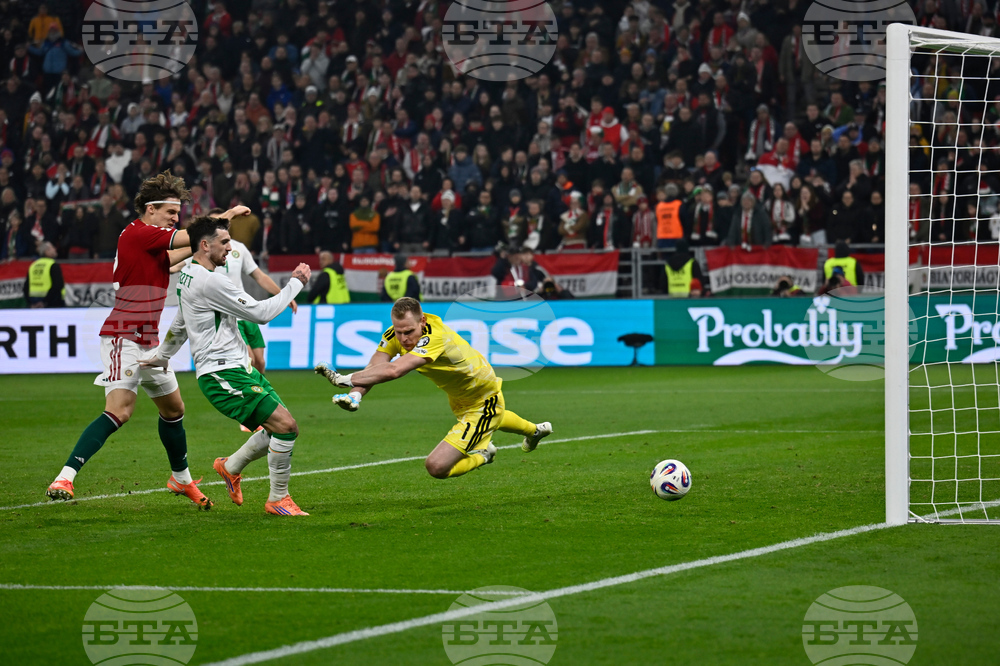 Hungary Ireland WCup Soccer