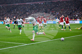 Hungary Ireland WCup Soccer