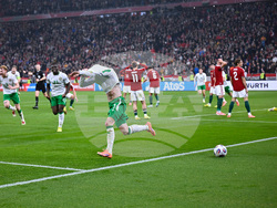 Hungary Ireland WCup Soccer
