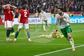 Hungary Ireland WCup Soccer