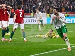 Hungary Ireland WCup Soccer