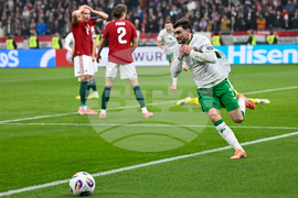 Hungary Ireland WCup Soccer