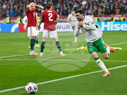 Hungary Ireland WCup Soccer