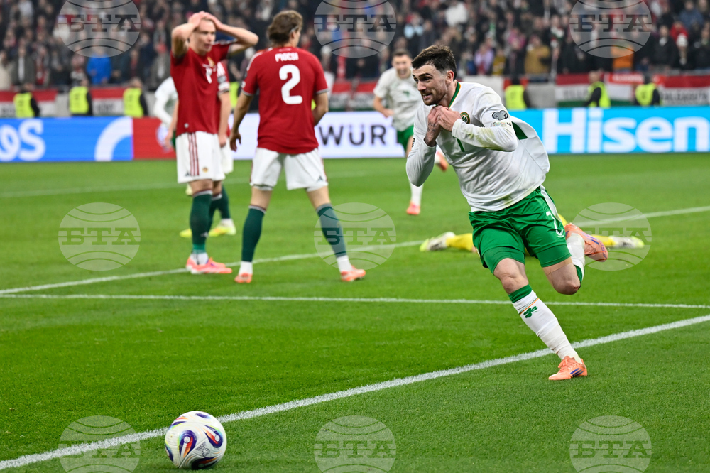 Hungary Ireland WCup Soccer