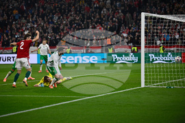 Hungary Ireland WCup Soccer