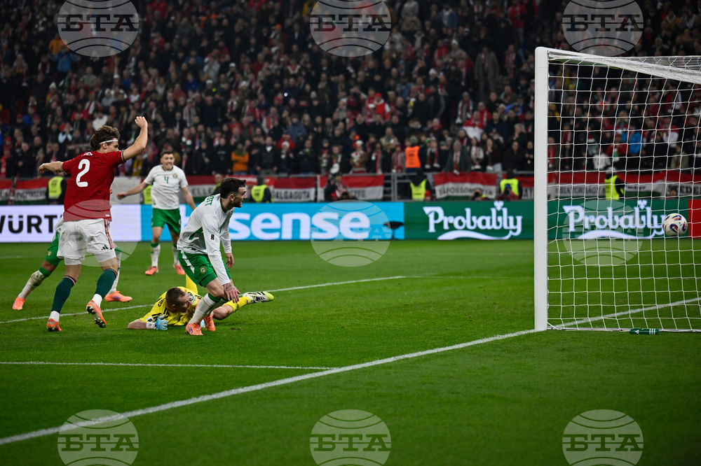 Hungary Ireland WCup Soccer