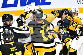 Sweden Predators Penguins Hockey