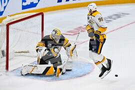 Sweden Predators Penguins Hockey