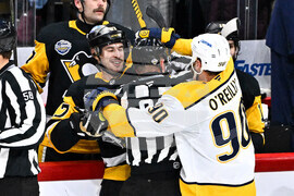 Sweden Predators Penguins Hockey