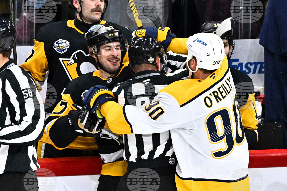 Sweden Predators Penguins Hockey