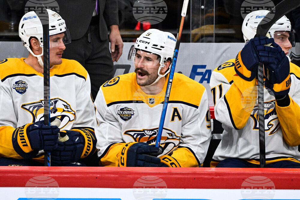 Sweden Predators Penguins Hockey