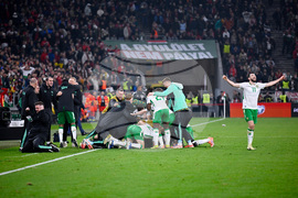 Hungary Ireland WCup Soccer