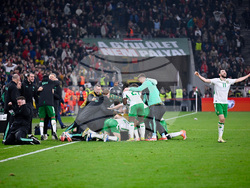 Hungary Ireland WCup Soccer