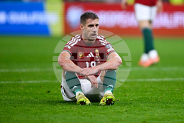 Hungary Ireland WCup Soccer