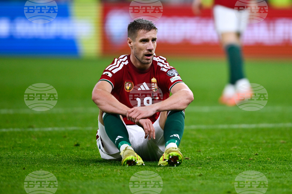 Hungary Ireland WCup Soccer