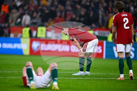 Hungary Ireland WCup Soccer