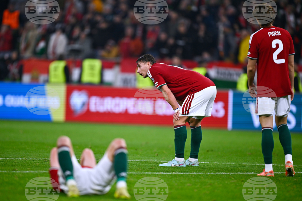 Hungary Ireland WCup Soccer