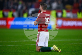 Hungary Ireland WCup Soccer
