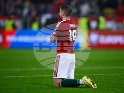 Hungary Ireland WCup Soccer