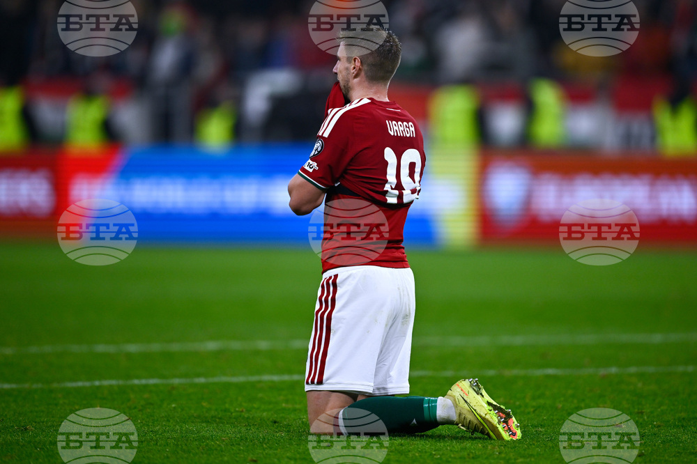 Hungary Ireland WCup Soccer