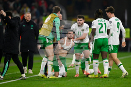 Hungary Ireland WCup Soccer