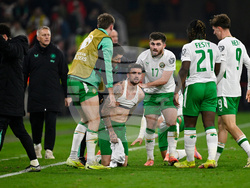 Hungary Ireland WCup Soccer