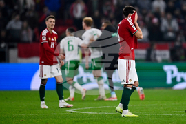 Hungary Ireland WCup Soccer