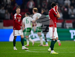 Hungary Ireland WCup Soccer