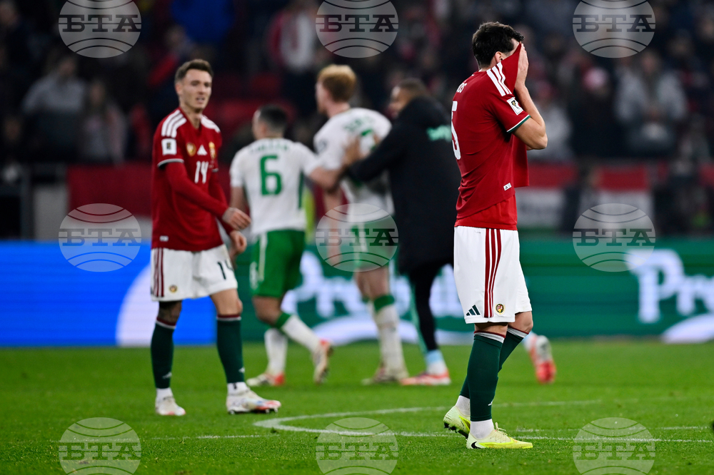 Hungary Ireland WCup Soccer