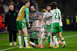 Hungary Ireland WCup Soccer