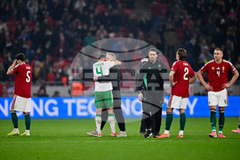 Hungary Ireland WCup Soccer