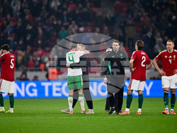 Hungary Ireland WCup Soccer