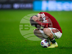 Hungary Ireland WCup Soccer